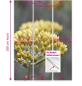 Preview: chenvorhang Helichrysum  3er Set, Schiebegardine, Schiebegardinen, blickdicht, Flächenvorhang blickdicht, Schiebevorhang,